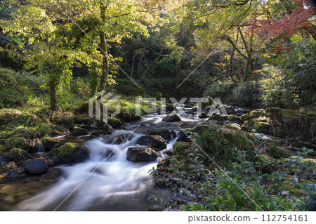 石川縣小松市荒俁峽的秋日清流風景 112754161