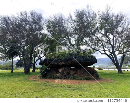 “夏威夷”Haleiwa Power Spot，Pohakuranai 112754446