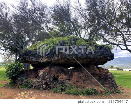 “夏威夷”Haleiwa Power Spot，Pohakuranai 112754447