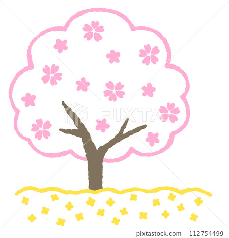Illustration of a simple cherry blossom and rape blossom field 112754499