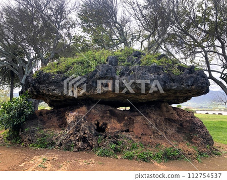 “夏威夷”Haleiwa Power Spot，Pohakuranai 112754537
