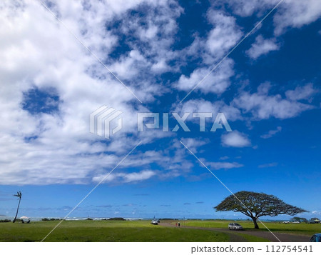 「夏威夷」哈雷瓦風光 112754541