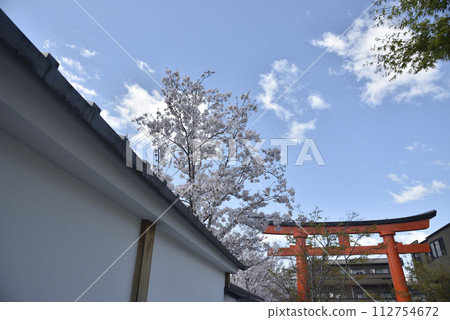 櫻花和伏見稻荷 112754672