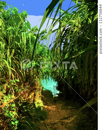 樹木隧道的另一邊就是大海 112756644