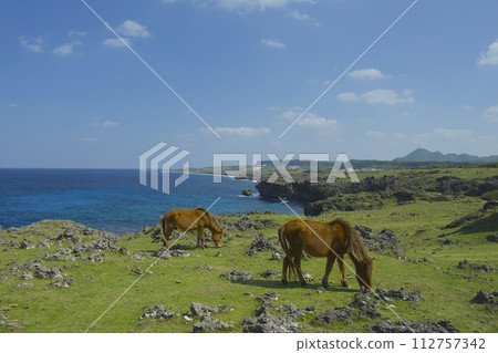 Yonagunijima 112757342