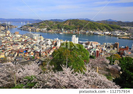 [Hiroshima Prefecture] The townscape of Onomichi seen from Senkoji Temple with cherry blossoms in full bloom 112757934