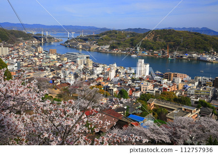 [廣島縣]從櫻花盛開的千光寺看到的尾道街景 112757936