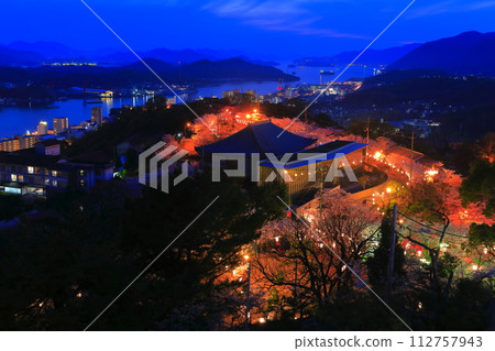 [Hiroshima Prefecture] Night cherry blossoms in Senkoji Park (Onomichi) 112757943