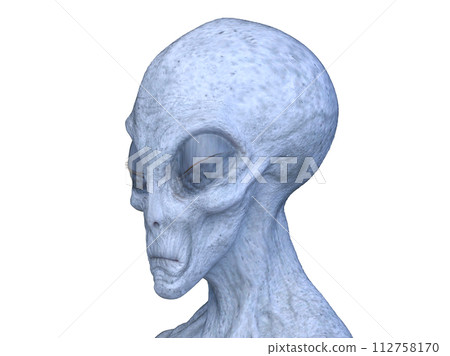 外星人頭 外星人頭 112758170