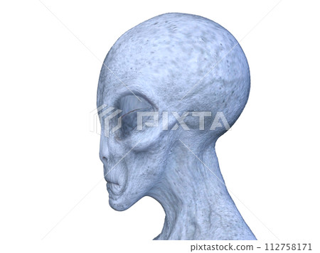 外星人頭 外星人頭 112758171