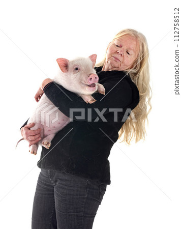 miniature pig and woman in studio 112758512