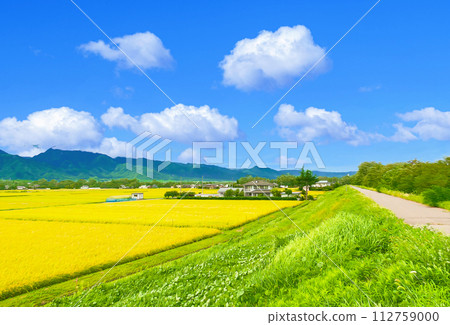 Azumino, Shinshu in late summer 112759000