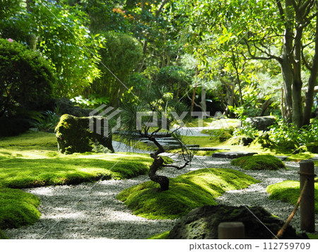 日本庭園 日本庭園 112759709