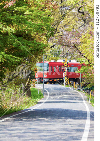 A red train running between trees 112759793