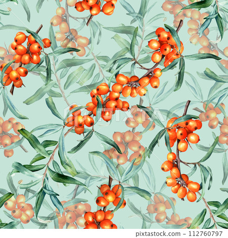 Seamless pattern with medicinal plant sea buckthorn branches. Hand drawn watercolor botanical illustration for wrapping wallpaper fabric textile 112760797