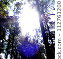 Title background 112761200