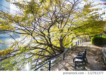 The streets of Hiroshima 112761377