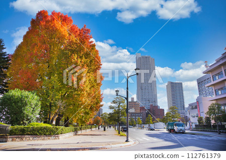 廣島的街道 112761379