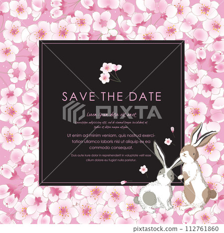 A vector editorial frame design featuring a spring scenery with cherry blossoms and rabbits A vector editorial frame design featuring a spring scenery with cherry blossoms and rabbits 112761860