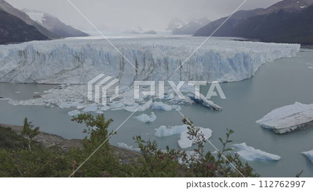 Perito Moreno Glacier Calving with Gentle Tree Branch Movement Perito Moreno Glacier Calving with Gentle Tree Branch Movement 112762997