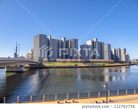 春天的東京城市景觀 — Shioiri 公園的櫻花樹和千住 Shioiri 大橋,背景是天空樹 春天的東京城市景觀 — Shioiri 公園的櫻花樹和千住 Shioiri 大橋,背景是天空樹 112763738