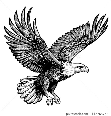 Eagle on a white background. 112763748