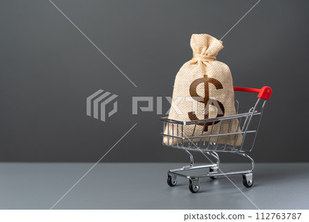 Shopping cart with big dollar money bag. Extra income. Win money for shopping. Purchasing power of buyers. Trade and retail. Taxes. Consumer prices. Import of products. 112763787