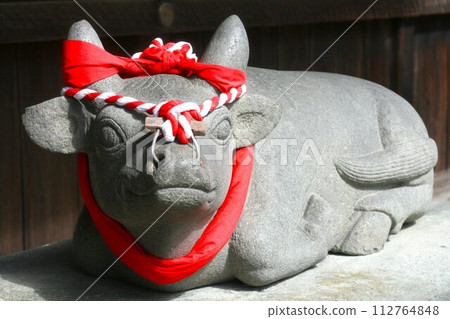 Tenmangu shrine's sacred cow Tenmangu shrine's sacred cow 112764848