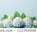 Rainy season hydrangea copy space 112764998