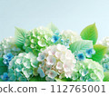 Rainy season hydrangea copy space 112765001