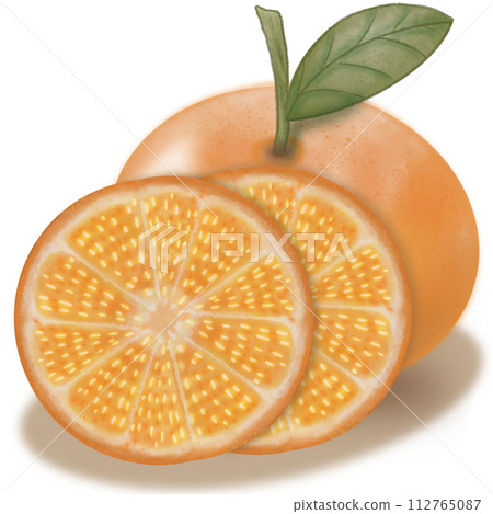 Orange collection isolated,Tropical fruits,hand drawn watercolor paint, 112765087