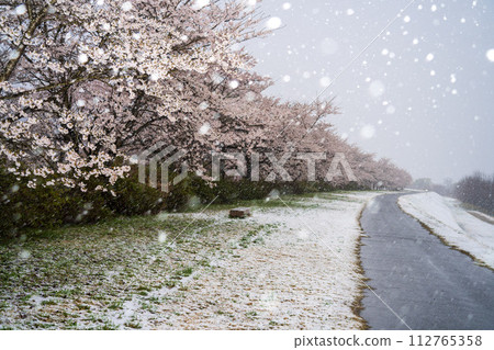 遺跡雪 遺跡雪 112765358