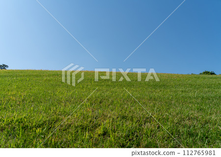 Blue sky and grassland on a sunny day 112765981