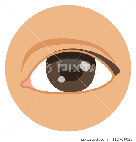 Eye color icon. Vision symbol. Facial part 112766023