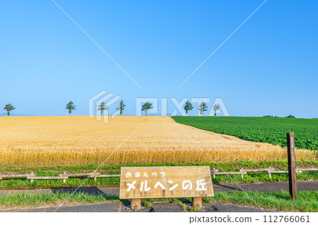 Summer fairy tale hill in Memanbetsu, Hokkaido, a popular tourist spot where the ears of wheat shine golden-yellow Summer fairy tale hill in Memanbetsu, Hokkaido, a popular tourist spot where the ears of wheat shine golden-yellow 112766061