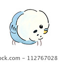 Illustration of a staring budgie 112767028