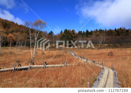 [Fixed price] Autumn scenery of Mt. Nirikasa's autumn leaves (Nirikasa Wetland) 112767289