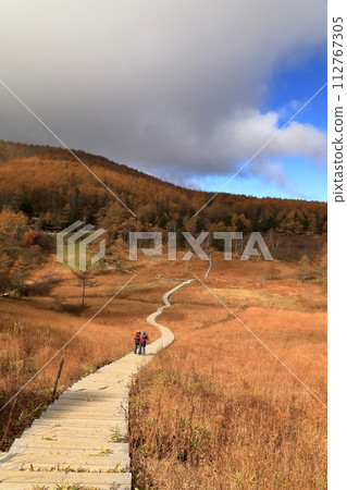 [固定價格] 尼里笠山紅葉的秋景（尼里笠濕地） 112767305