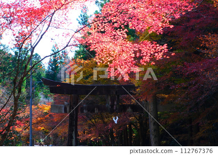 Oyada Shrine Momiji Valley 112767376