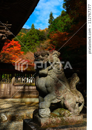 Oyada Shrine Momiji Valley Oyada Shrine Momiji Valley 112767377
