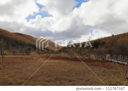 [Fixed price] Autumn scenery of autumn leaves on Mt. Nyukasa (Oabara Wetland) 112767387
