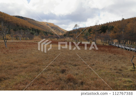 [Fixed price] Autumn scenery of autumn leaves on Mt. Nyukasa (Oabara Wetland) 112767388