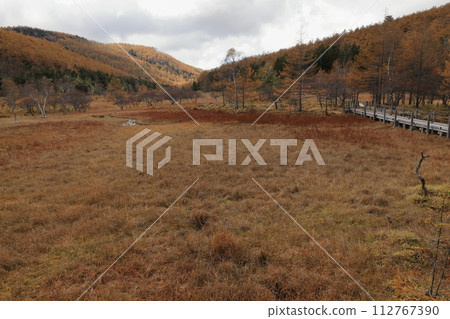 [Fixed price] Autumn scenery of autumn leaves on Mt. Nyukasa (Oabara Wetland) 112767390