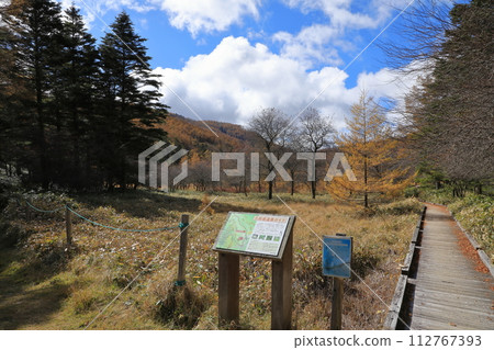 [Fixed price] Autumn scenery of autumn leaves on Mt. Nyukasa (Oabara Wetland) 112767393