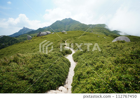 從屋久島山頂眺望的壯麗景色 112767450