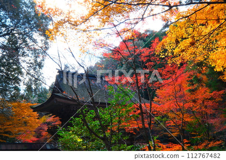 Oyada Shrine Momiji Valley Oyada Shrine Momiji Valley 112767482