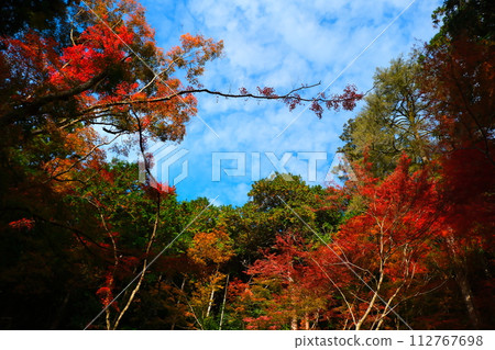 Oyada Shrine Momiji Valley Oyada Shrine Momiji Valley 112767698