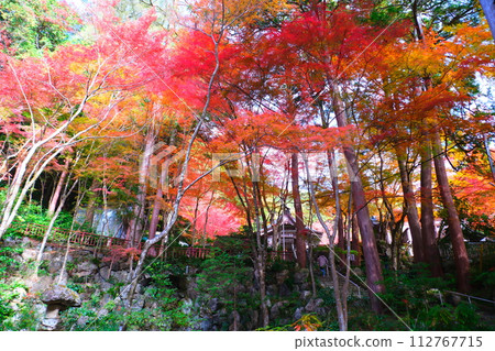Oyada Shrine Momiji Valley 112767715