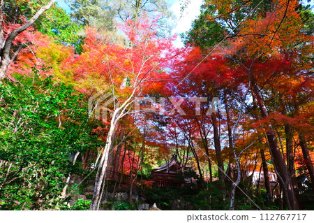 Oyada Shrine Momiji Valley Oyada Shrine Momiji Valley 112767717