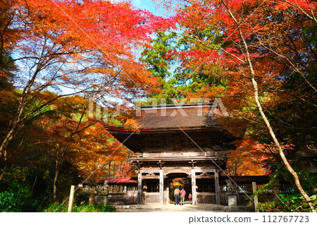 Oyada Shrine Momiji Valley Oyada Shrine Momiji Valley 112767723